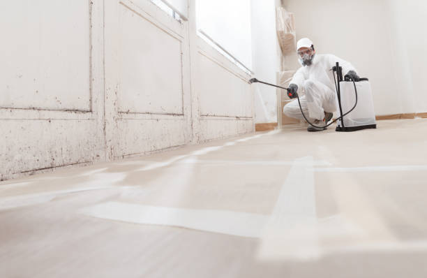 24/7 Emergency Mold Testing experts in Chantilly, VA